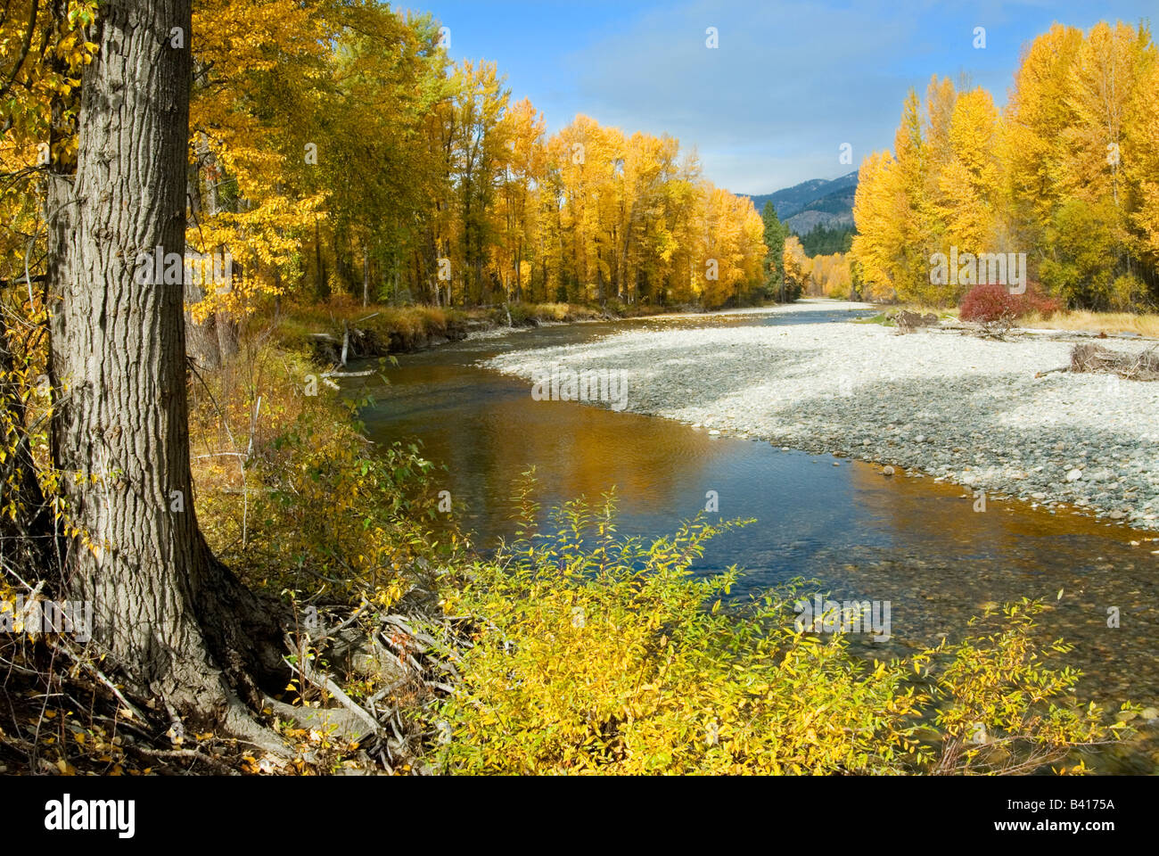 Rivière Methow en automne, Winthrop, Washington, USA Banque D'Images
