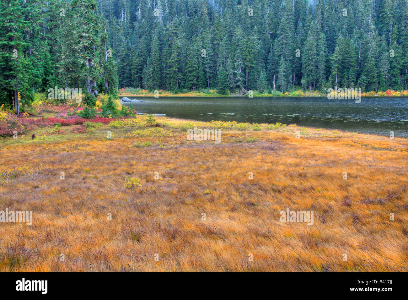 WA, Henry M. Jackson Wilderness, lac Janus, autumn foilage Banque D'Images