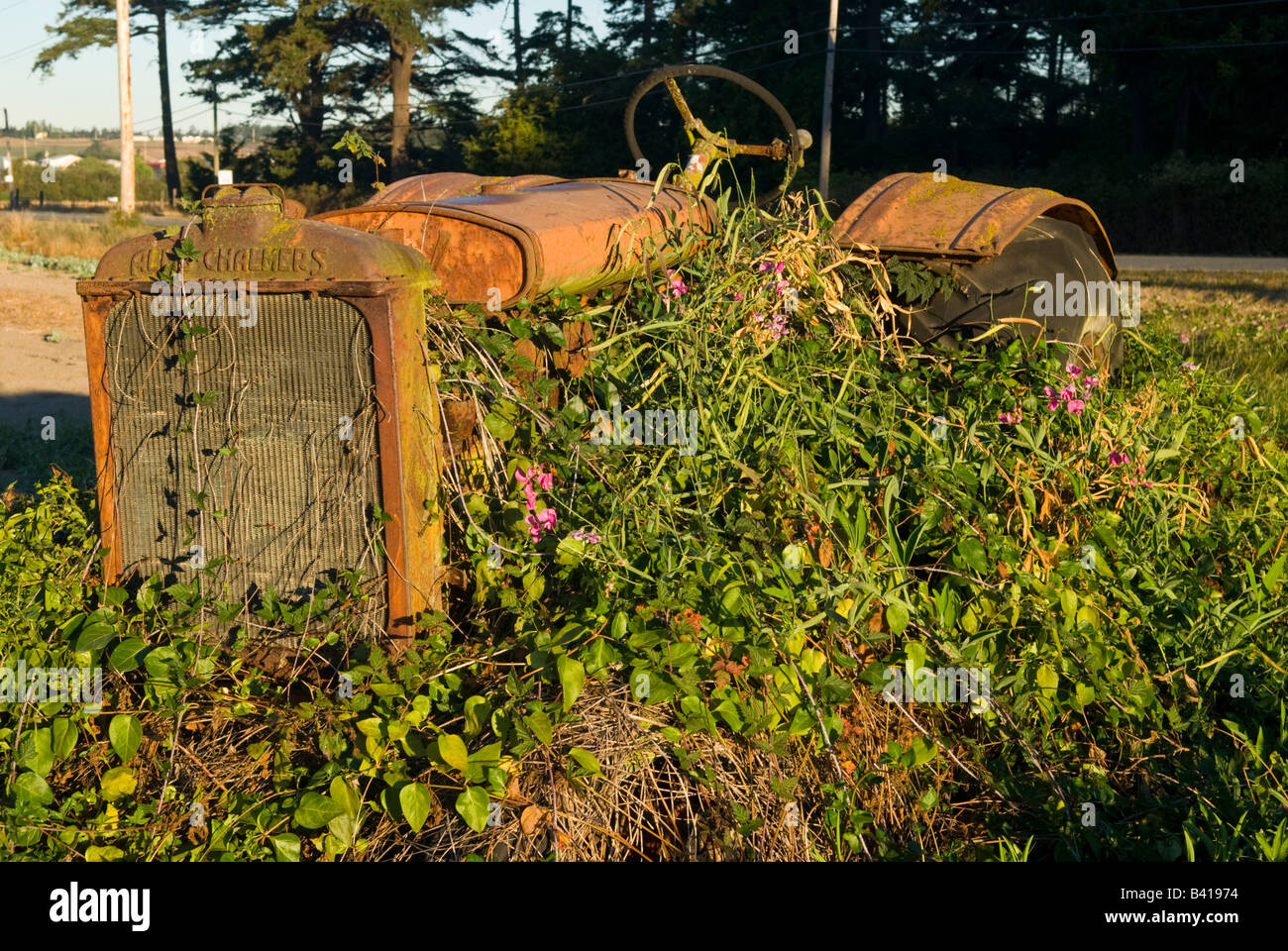 États-unis, WA, Whidbey Island. Dépassement du tracteur antique engloutie par la végétation. Banque D'Images