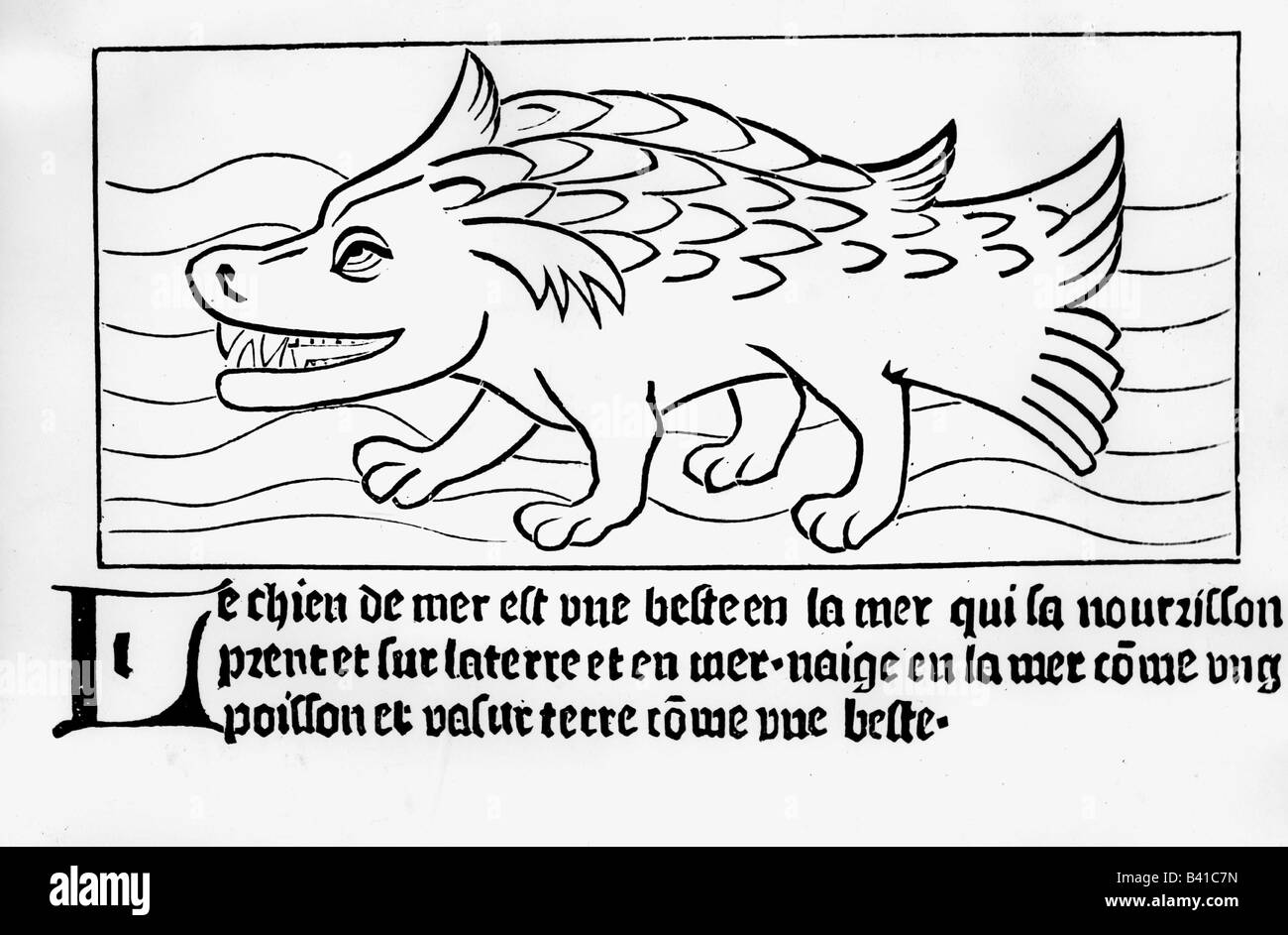Superstition, créatures mythiques, 'chien de la mer', coupe de bois, 'Dialogue des créatures', traduction par Colard Mansion, 1482, , Banque D'Images