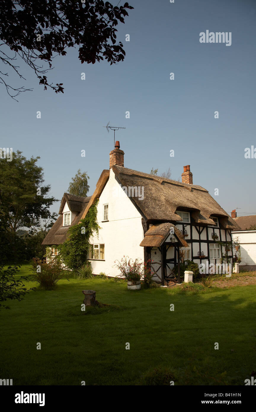 Chaumière avec jardin entre Holmes Chapel et Knutsford dans Cheshire UK Banque D'Images