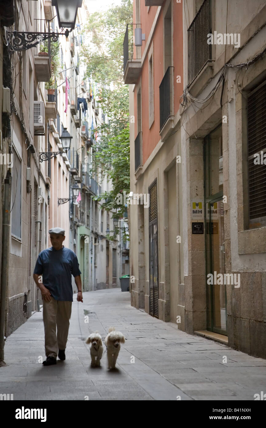 Homme avec deux chiens caniche allée à Barcelone Banque D'Images