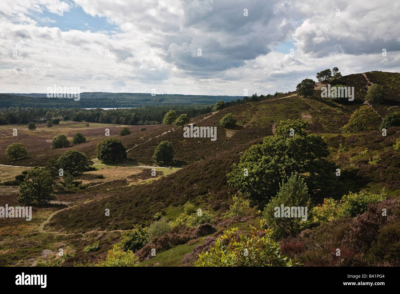 Stovbjerg hill et la vue à Sindbjerg Hill et le lac, près de l'Brassø Sejs, Jutland, Danemark Banque D'Images