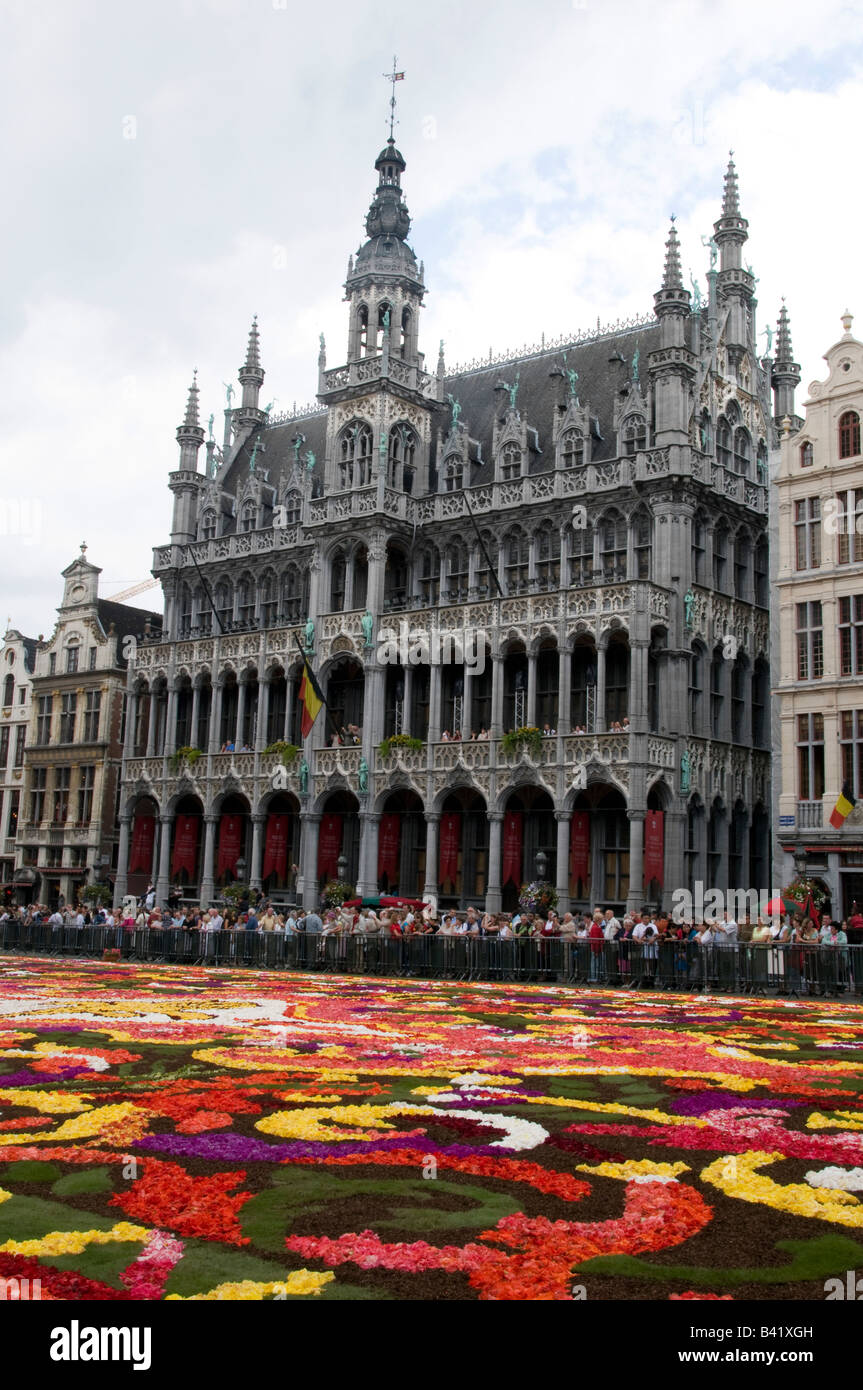 Kings House sur la Grand Place de Bruxelles avec la plus grande fleur traditionnelle année 2008 tapis Banque D'Images