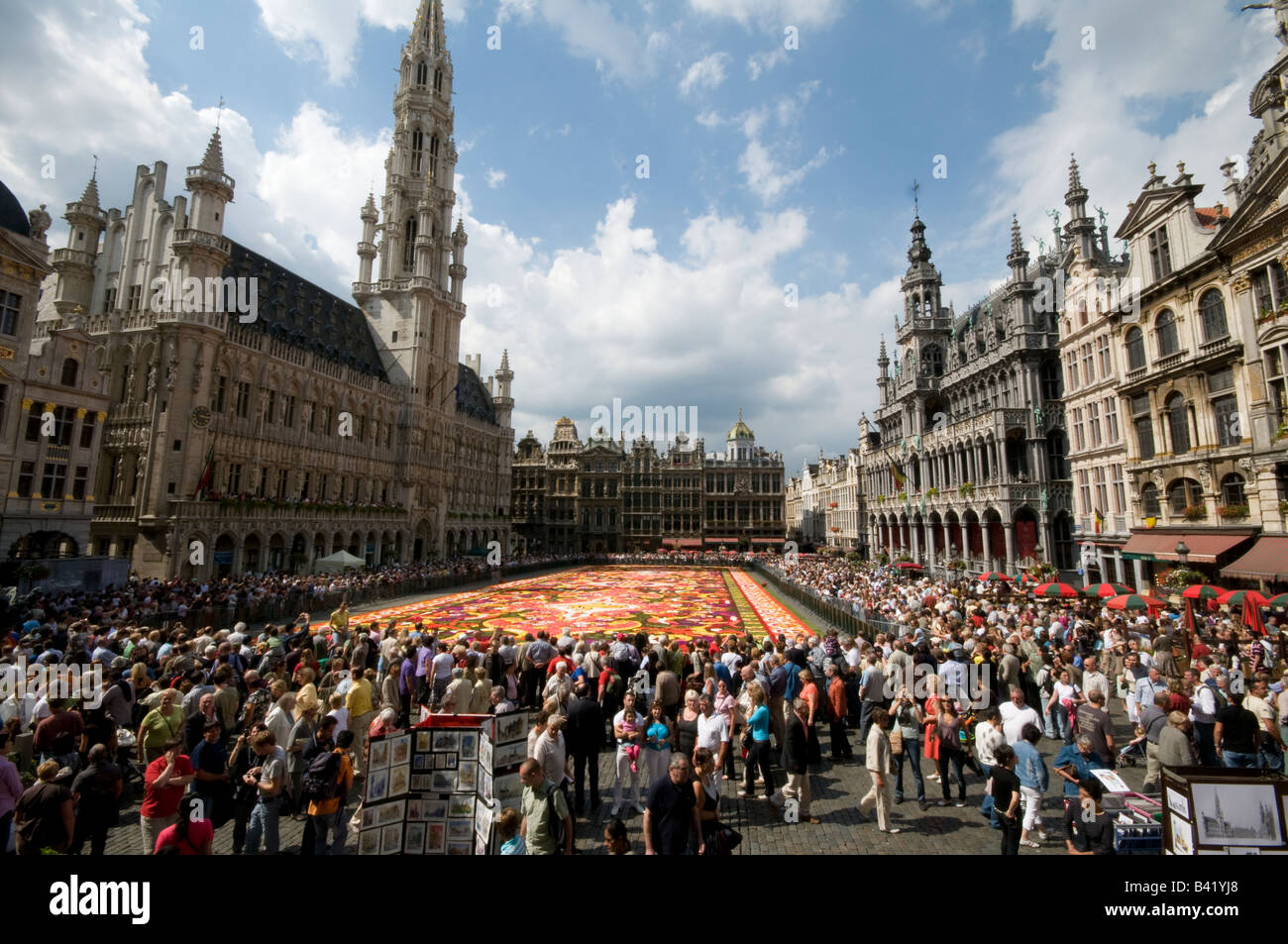 Grand Place de Bruxelles avec la plus grande fleur traditionnelle année 2008 tapis Banque D'Images