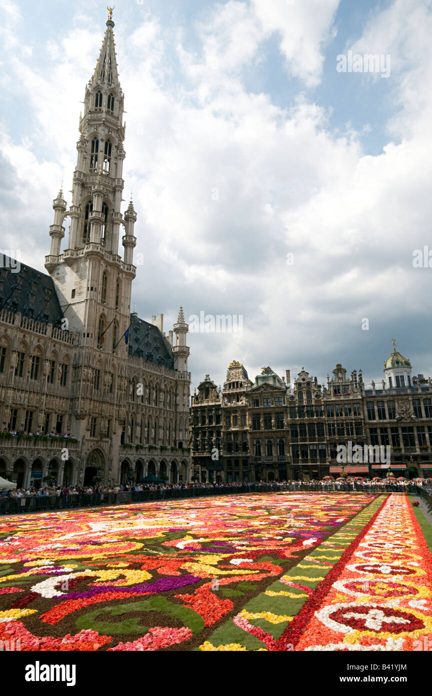 Grand Place de Bruxelles avec la plus grande fleur traditionnelle année 2008 tapis Banque D'Images