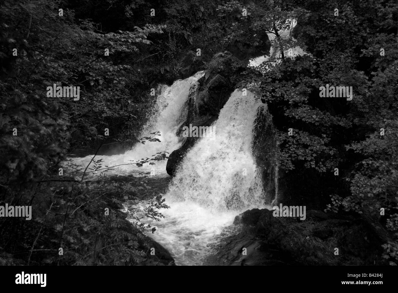 Colwith Falls près de Little Langdale, Lake District, Cumbria en noir et blanc Banque D'Images