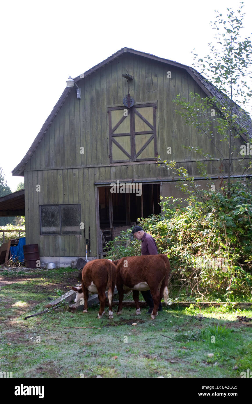 Un fermier et sa vache. Banque D'Images