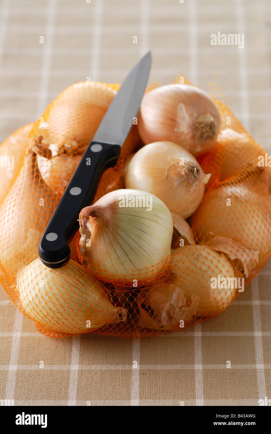 Sac de chaîne d'Oignons Banque D'Images