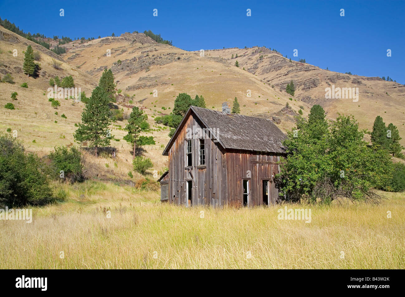 Vue d'une vieille grange ranch dans la gorge d'Inmaha ou Canyon près de Hells Canyon National Recreation Area, Oregon. Banque D'Images