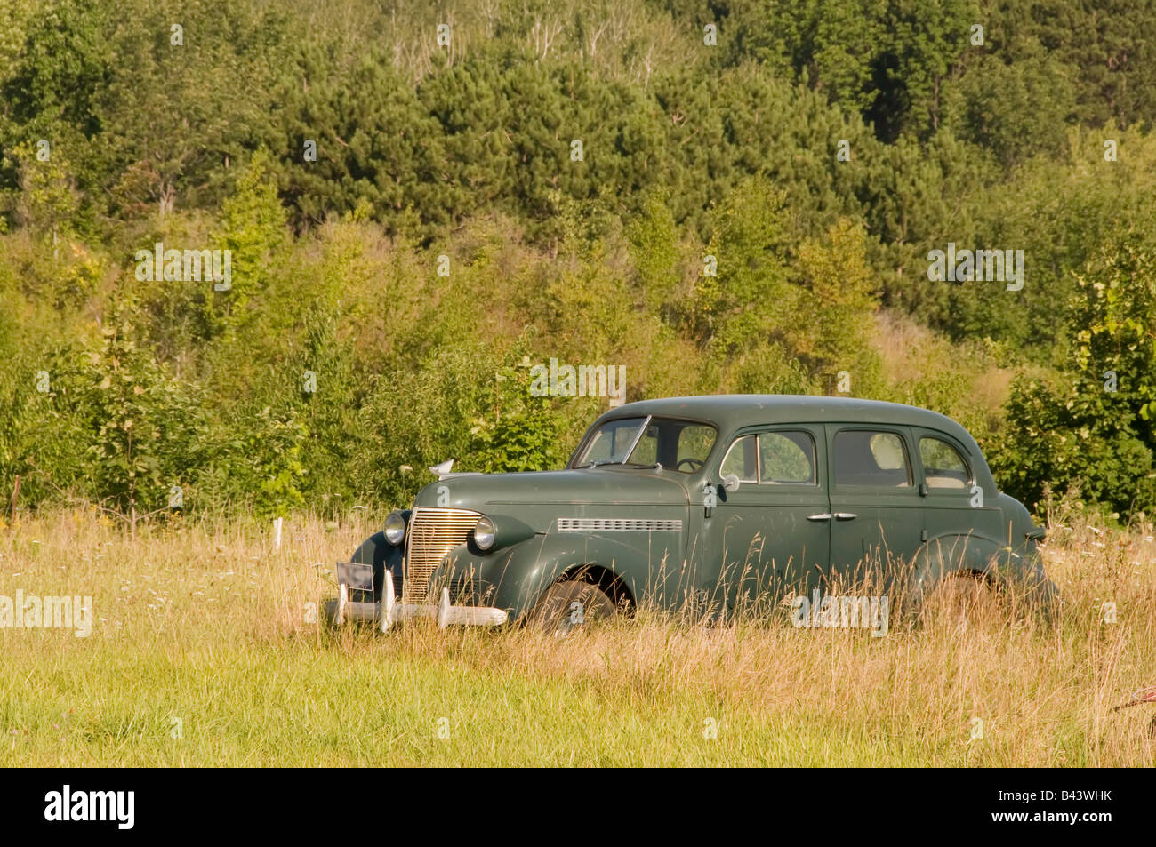 Vintage voiture à quatre portes, peut-être une Chevrolet 1937, stationné dans un champ Banque D'Images