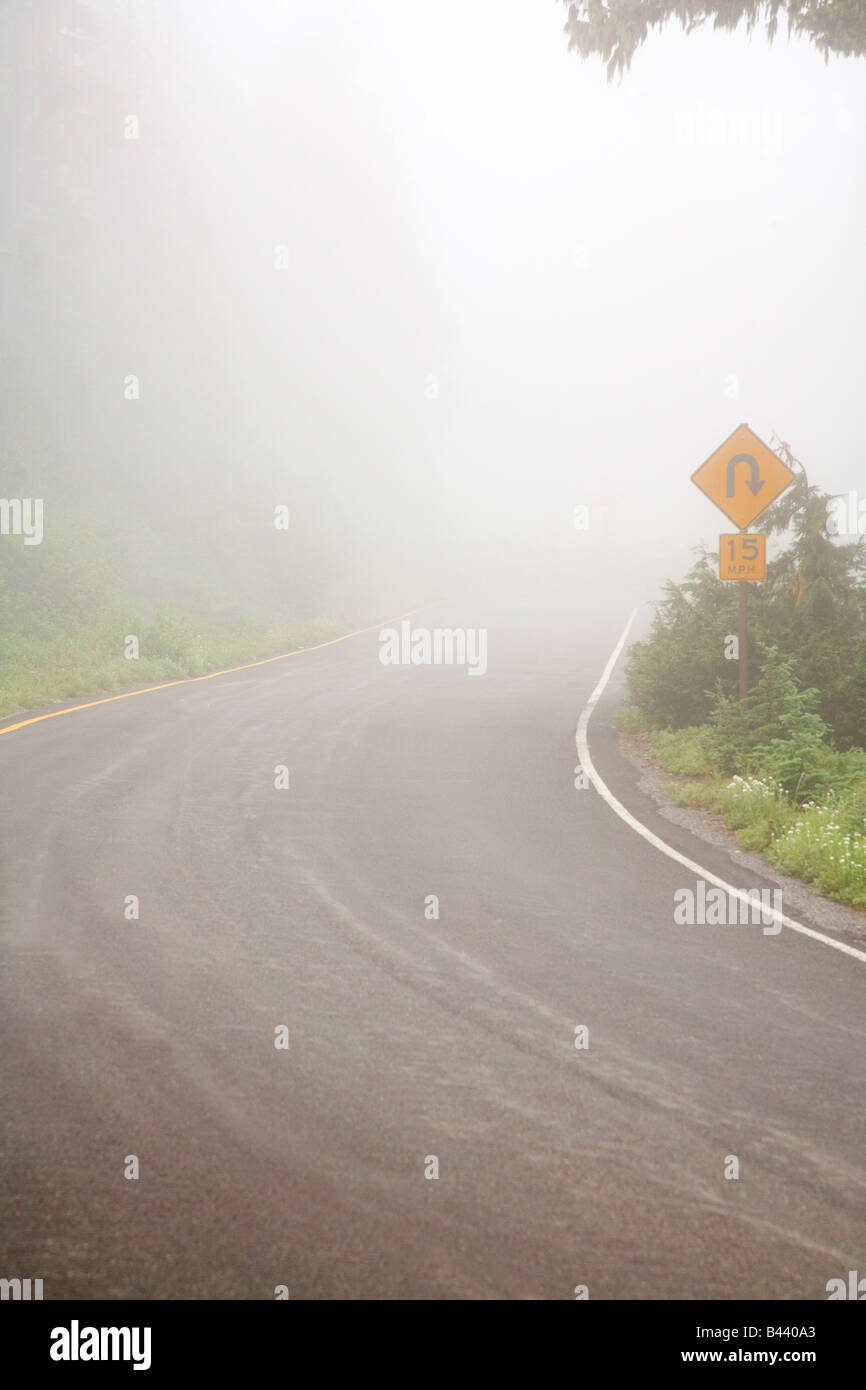 Foggy Road, Mount Rainier National Park, Washington, USA Banque D'Images