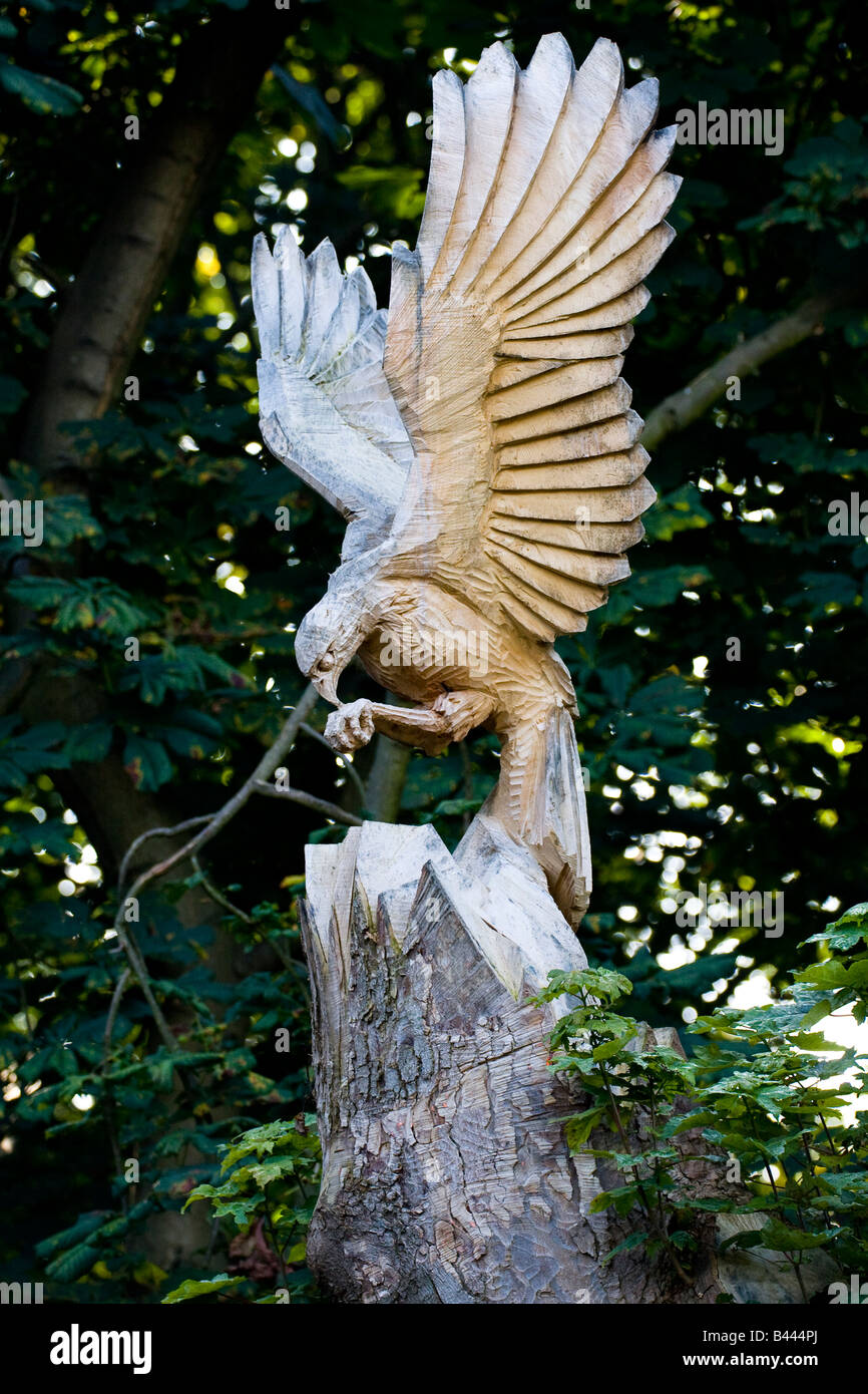 Sculpture à la tronçonneuse d'un Kestrel (aigle) à partir d'un tronc d'arbre Banque D'Images