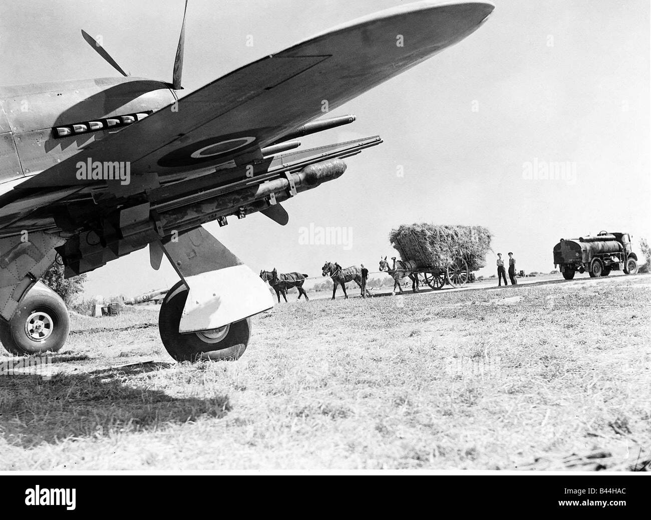 Hawker Typhoon armés de roquettes et prêt à décoller d'un champ anglais pendant les moissons dans WW2 1944 Banque D'Images