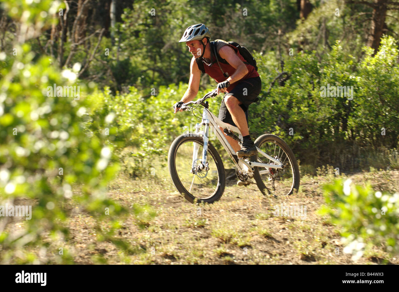 Vtt à Durango, Colorado, USA Banque D'Images