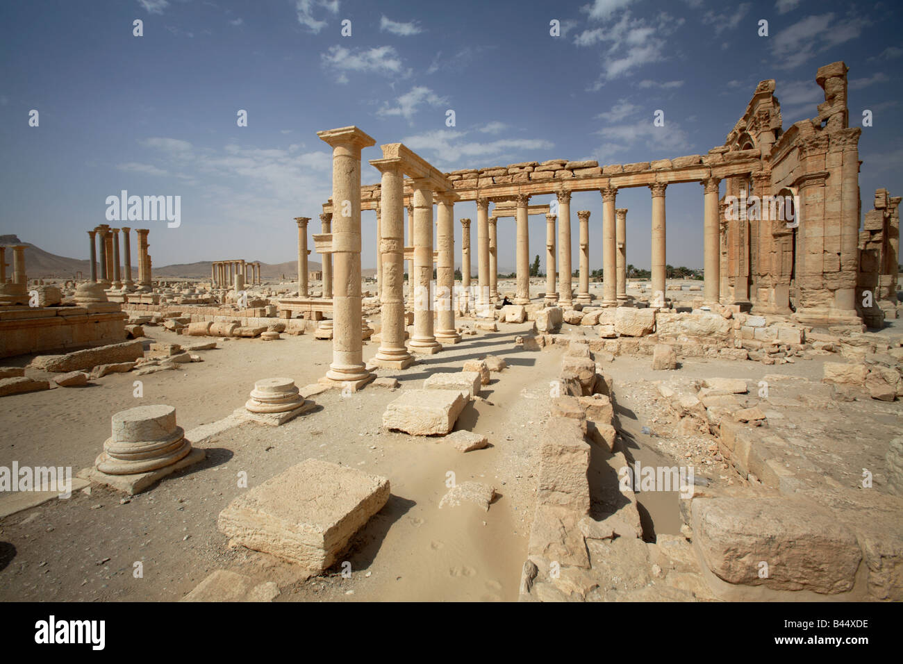 À la colonnade ruines de Palmyre, en Syrie Banque D'Images