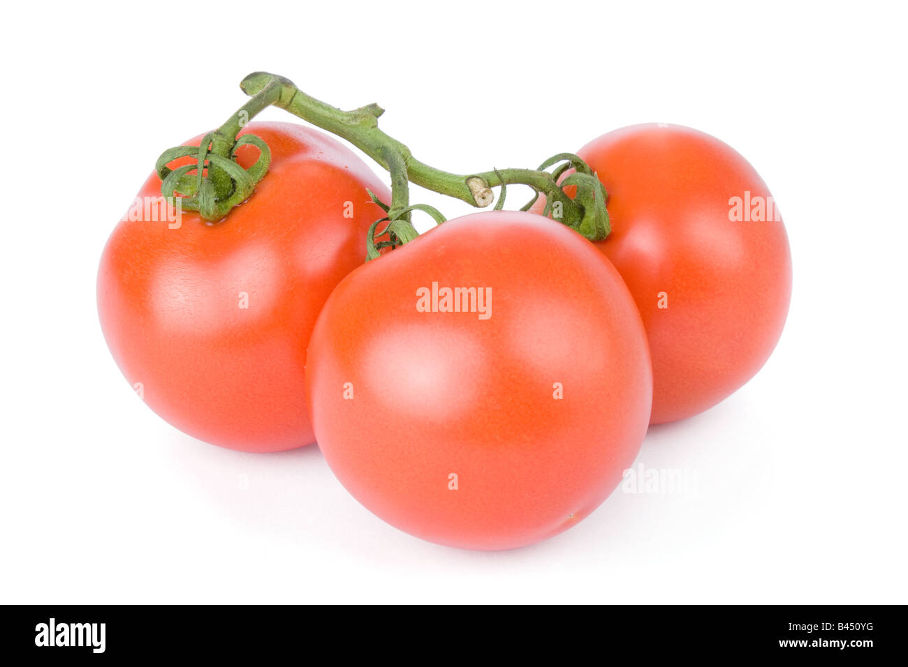 Tomates mûres isolé sur fond blanc Banque D'Images