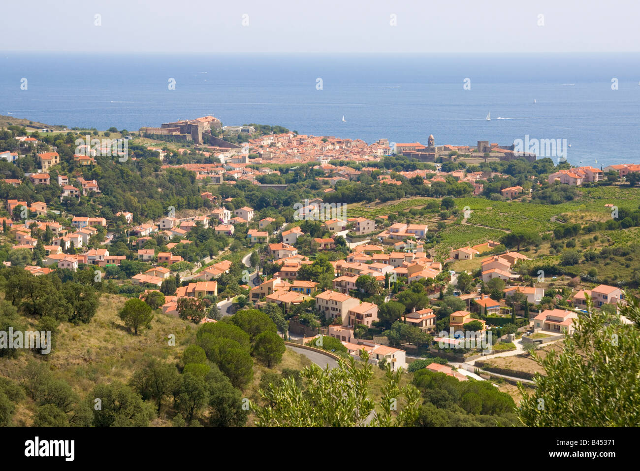 Vue sur Collioure sur la Côte Vermeille Méditerranée / Sud de France Banque D'Images