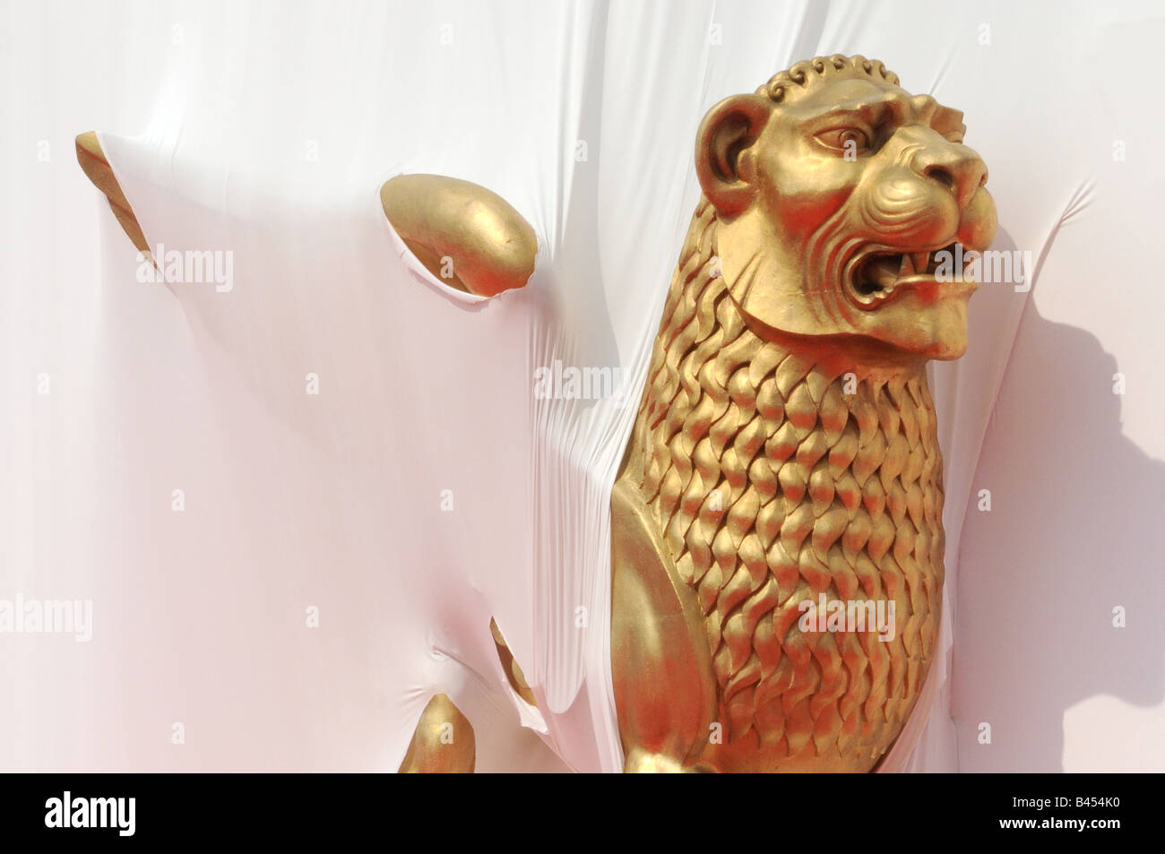 Lion au Festival de Venise Venise Italie Banque D'Images