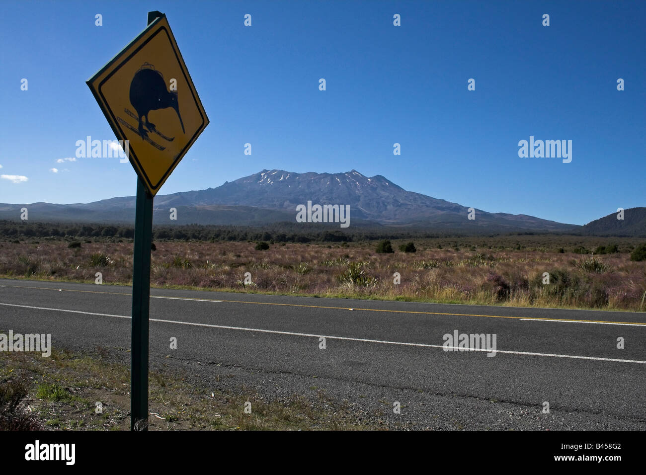 Parc National de Tongariro volcan Banque D'Images