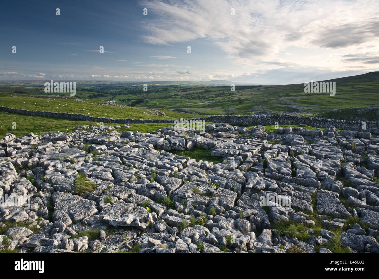 Pavages calcaires, Yorkshire Dales Banque D'Images