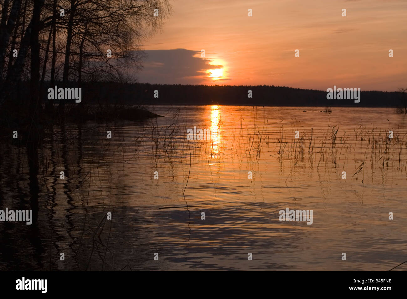 Grand lac avec des îles et reed le beau coucher du soleil de printemps, la Carélie, Russie Banque D'Images