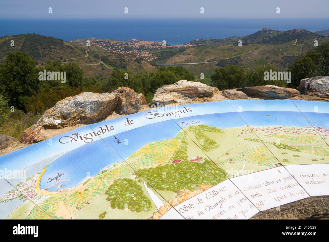 Une carte peinte à une table d'orientation fournit des informations sur les vignobles dans l'arrière pays de la Côte Vermeille / Sud de France Banque D'Images