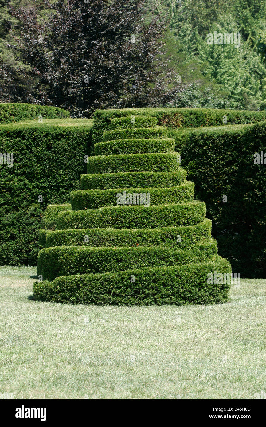 Un joli topiary Banque D'Images