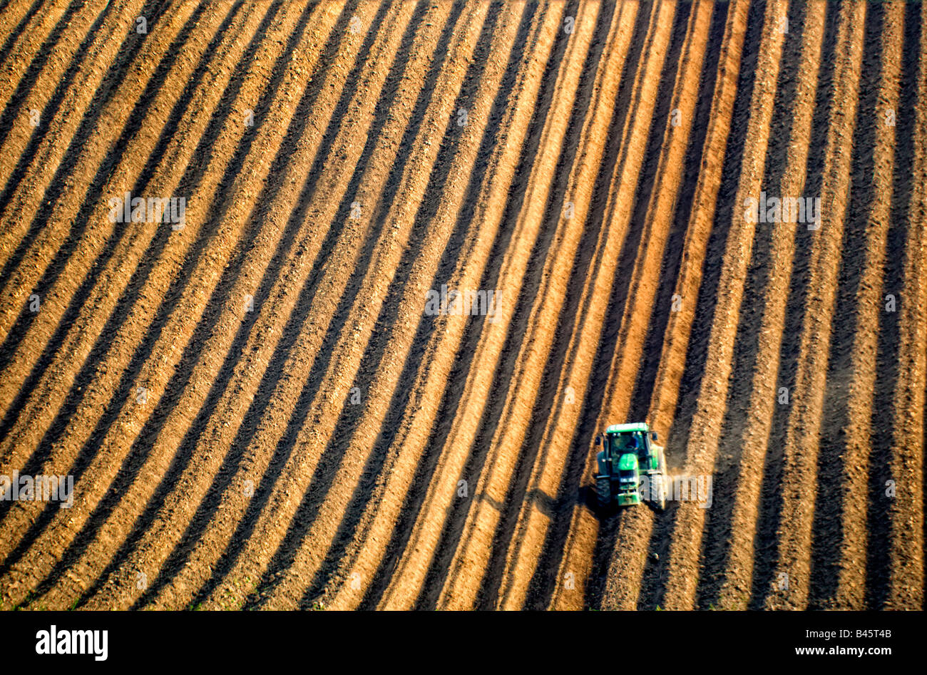 Le tracteur laboure un champ Banque D'Images