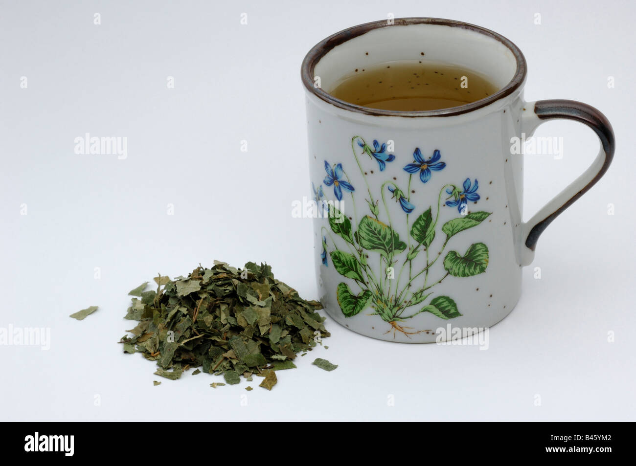 Bouleau blanc européen, le bouleau verruqueux (Betula pendula Betula verrucosa) feuilles séchées et tasse de thé studio photo Banque D'Images