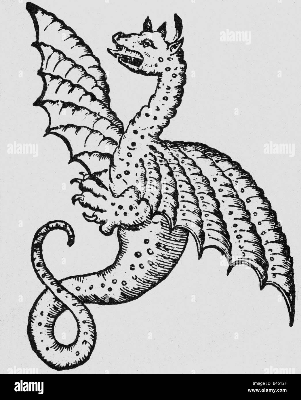 Superstition, créatures mythiques, dragons, boisés, 'Historia animalium' par Conrad Gesner, 3ème volume, 'Avium natura', 1555, , Banque D'Images
