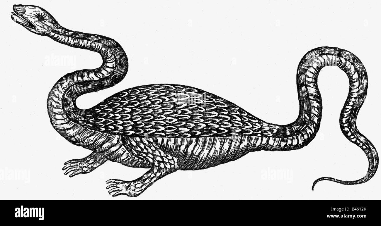 Superstition, créatures mythiques, dragons, gravure en bois, XIXe siècle, après le 'mundus subterraneus' par Athanasius Kircher, Amsterdam, 1678, , Banque D'Images