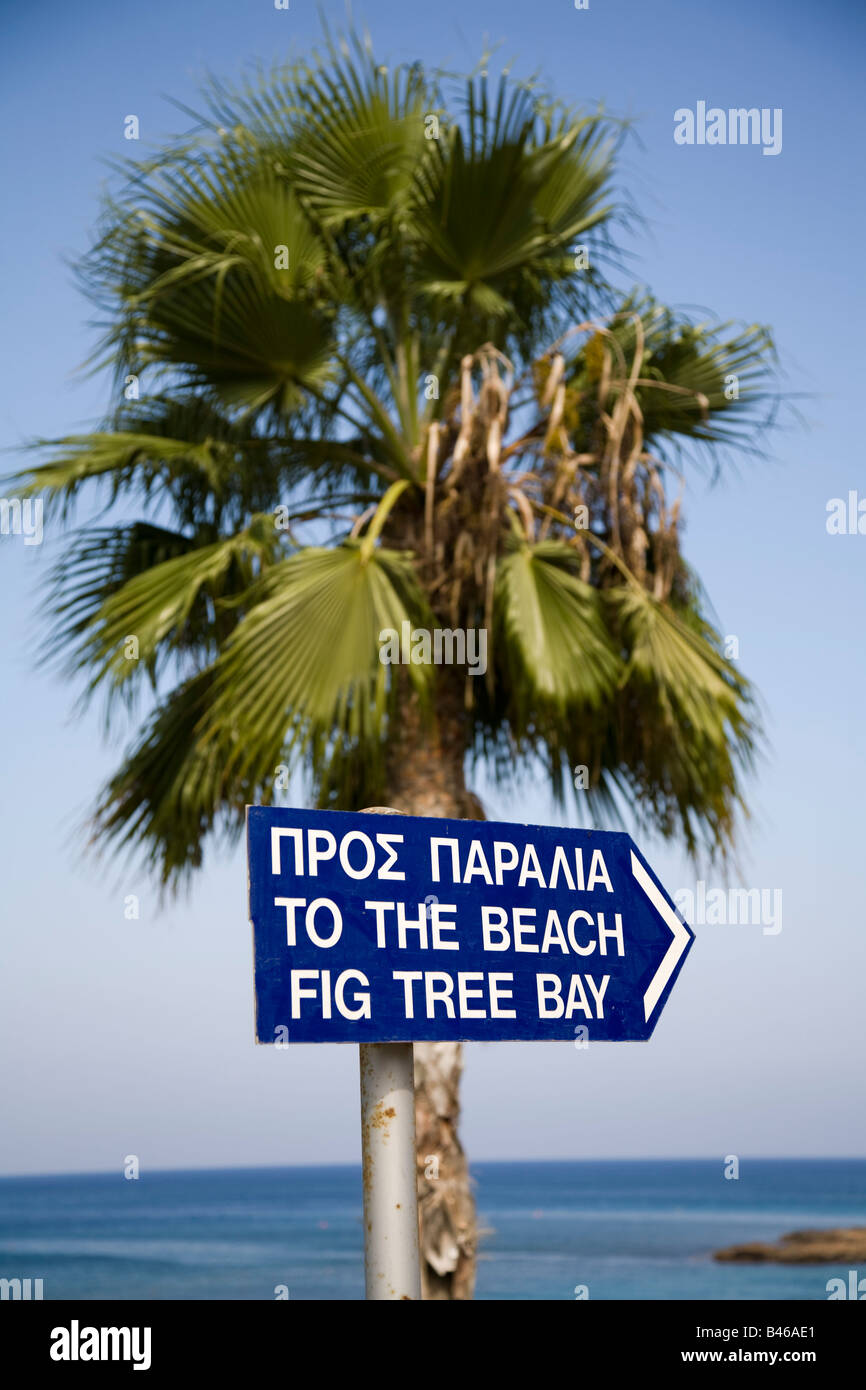 Le panneau bleu indiquant la voie à la FIG TREE BEACH AVEC UN PALMIER derrière. Banque D'Images