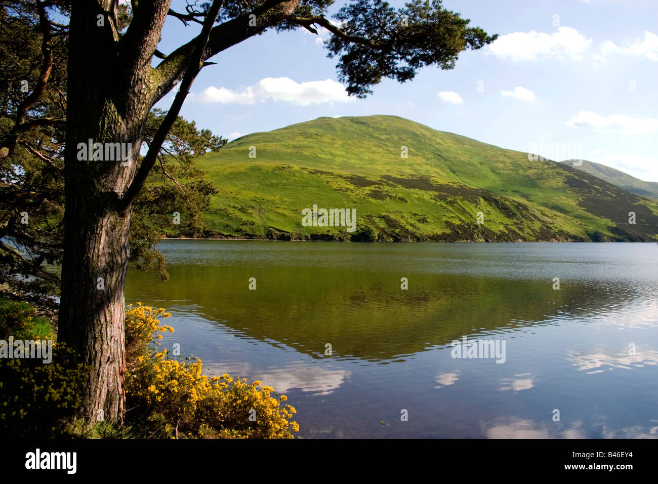 Dans le réservoir de Glencorse Pentland Hills, Édimbourg, Écosse Banque D'Images