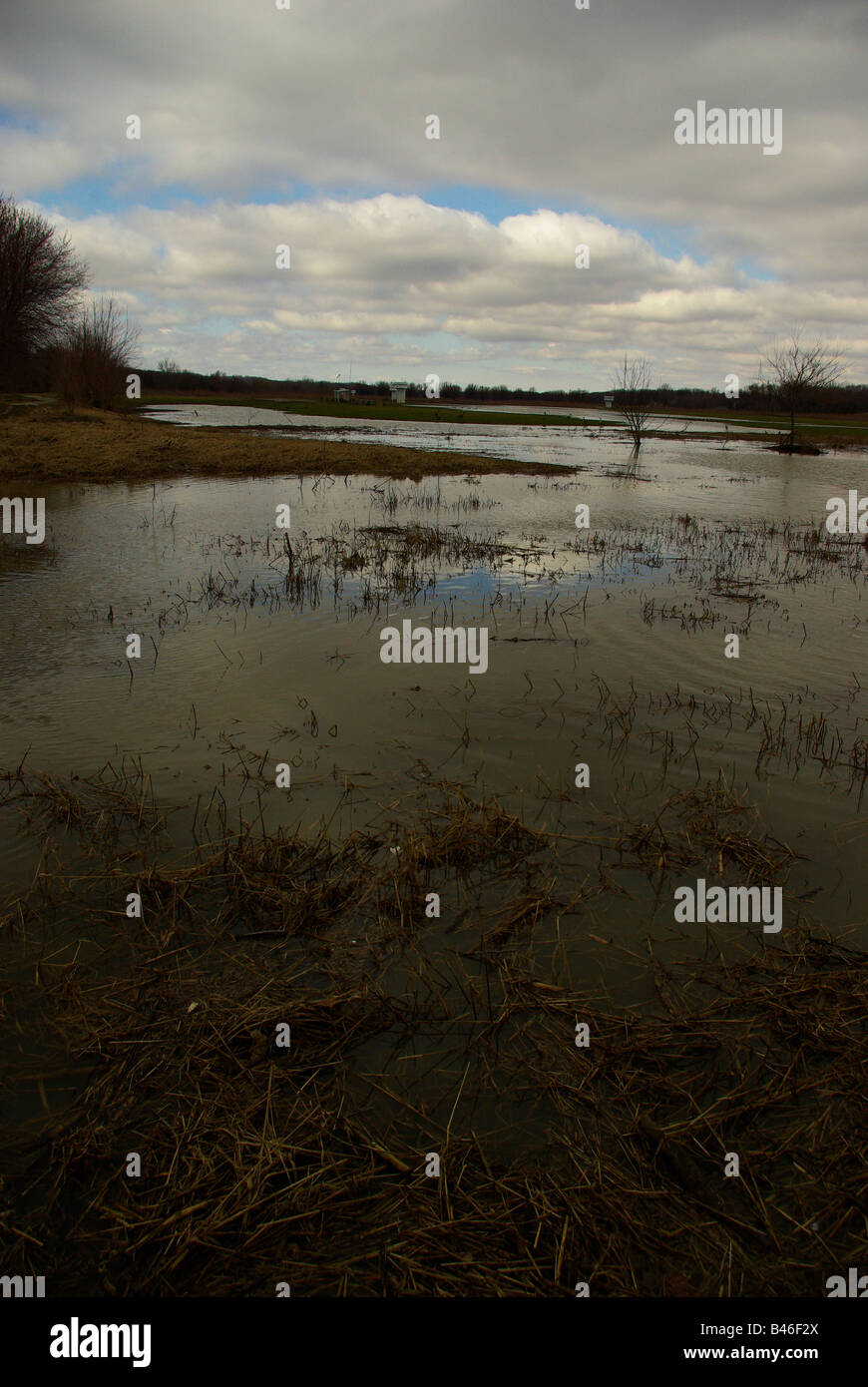 Marais inondés le long de la rivière Wabash reflètent le ciel bleu nuageux Banque D'Images