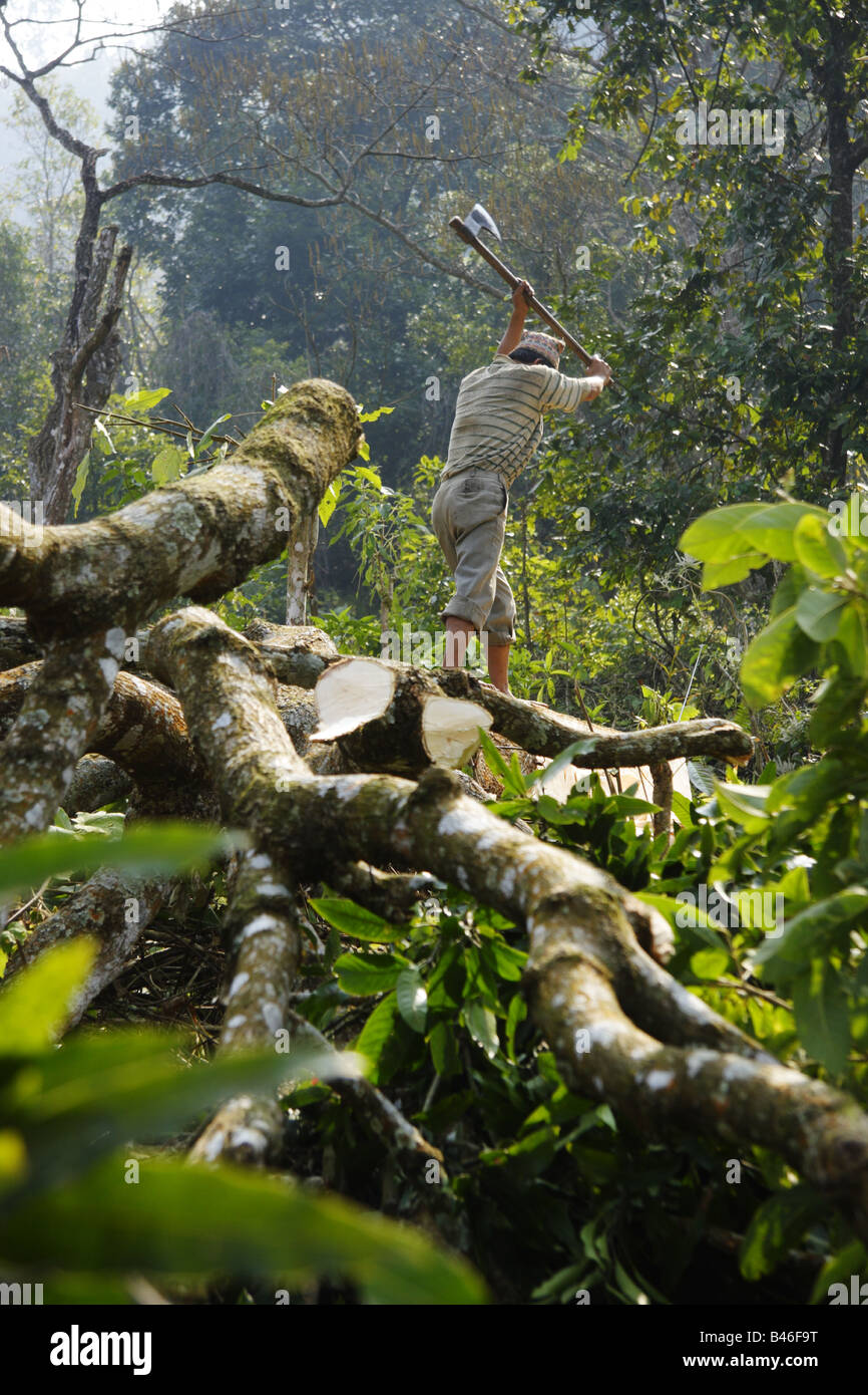 L'homme à couper des arbres dans les régions rurales du Népal. La déforestation pour l'utilisation des terres est un contributeur majeur au réchauffement global Banque D'Images