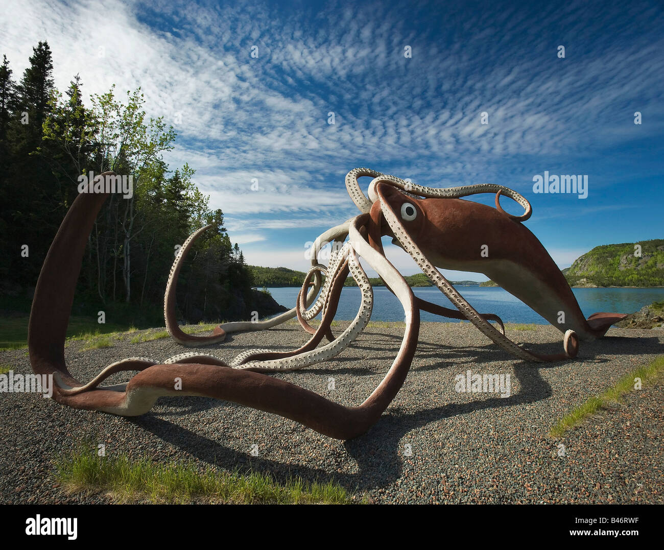 Calmar géant Sculpture, Glover's Harbour, Terre-Neuve et Labrador, Canada Banque D'Images