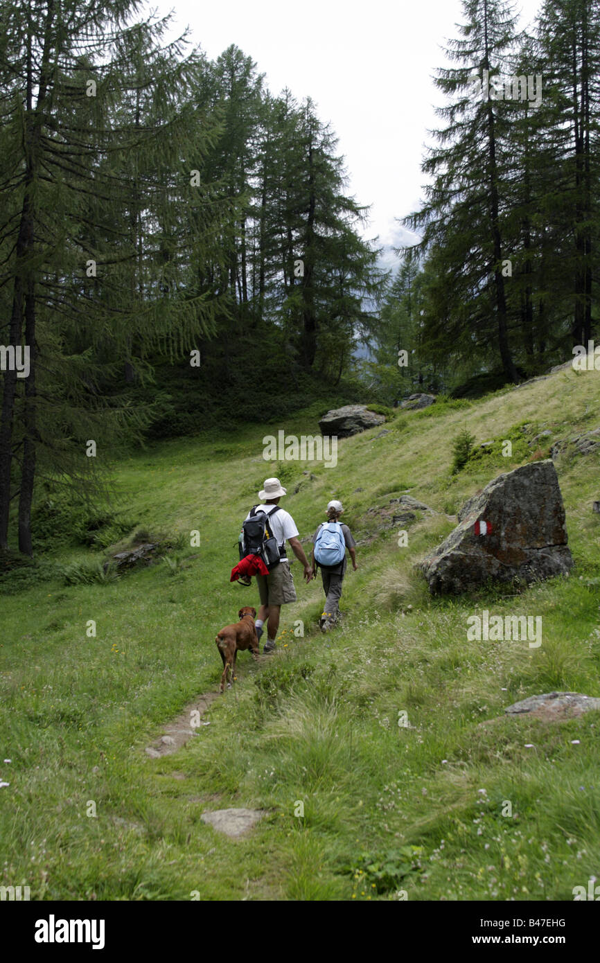 L'homme, enfant et chien en randonnée dans les Alpes italiennes, l'Alpe Devero, Italie Banque D'Images