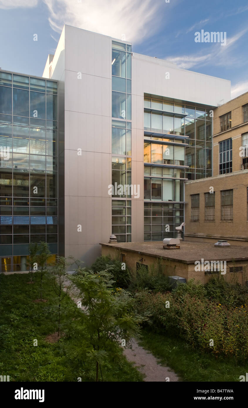 Bâtiment 6C sur l'ISSP 9 18 08 de la cour intérieure sur le côté est du groupe principal sur le campus du Massachusetts Banque D'Images