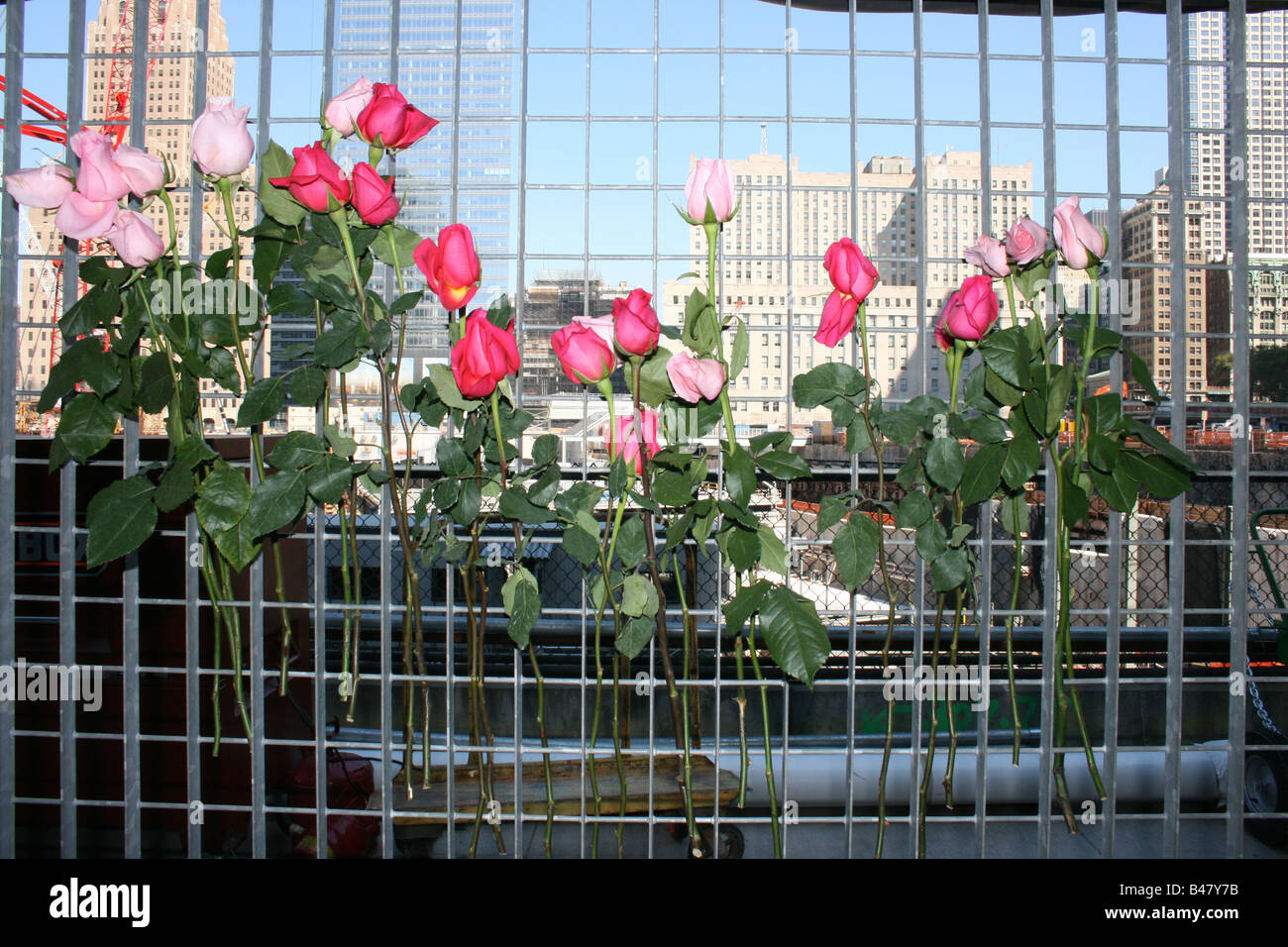 Des fleurs à l'ancien site du World Trade Center dans le Lower Manhattan. Banque D'Images