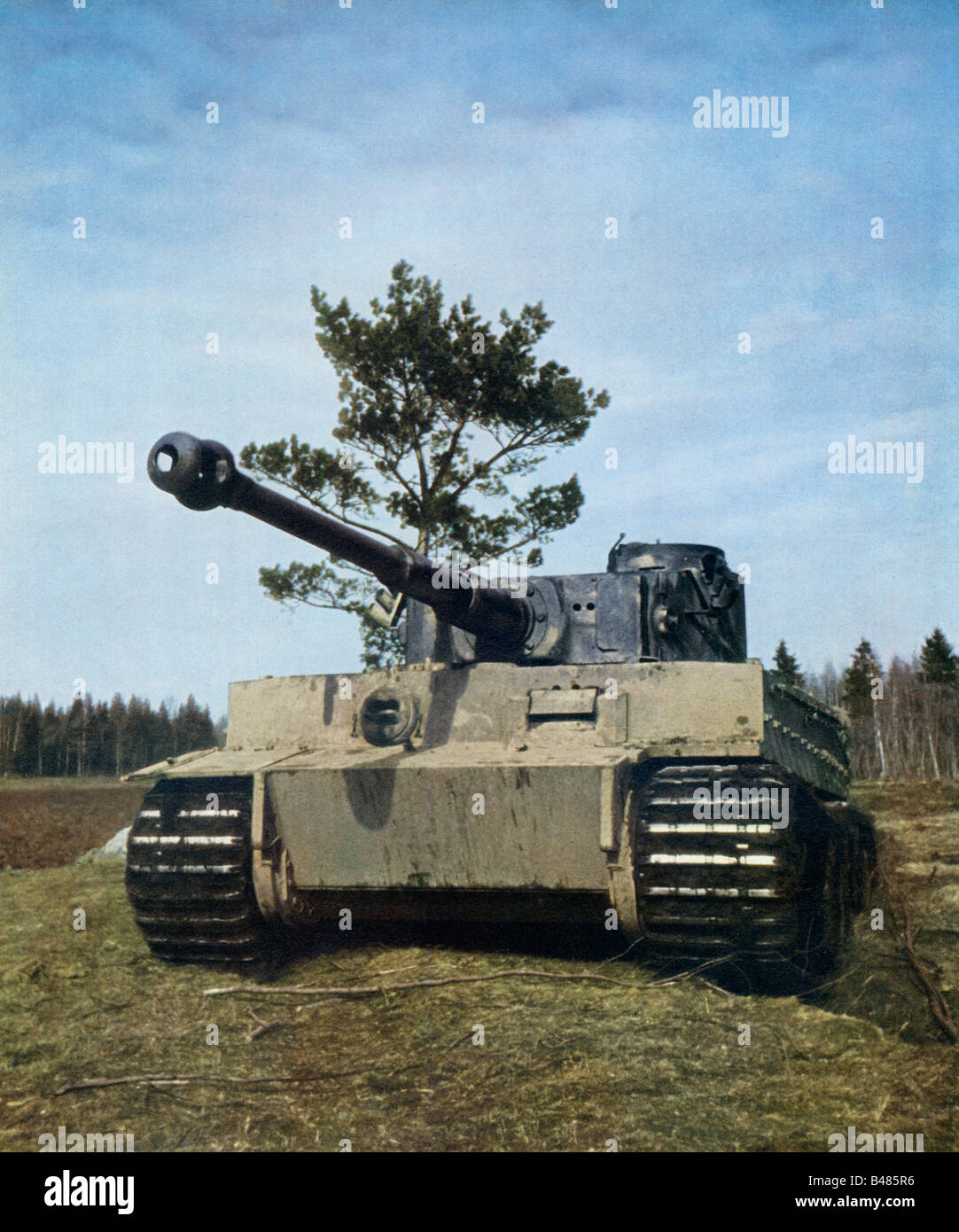Wehrmacht Char Tigre avances sur la forêt sur le front de l'Est DURANT LA SECONDE GUERRE MONDIALE Au début de la campagne de Russie Banque D'Images