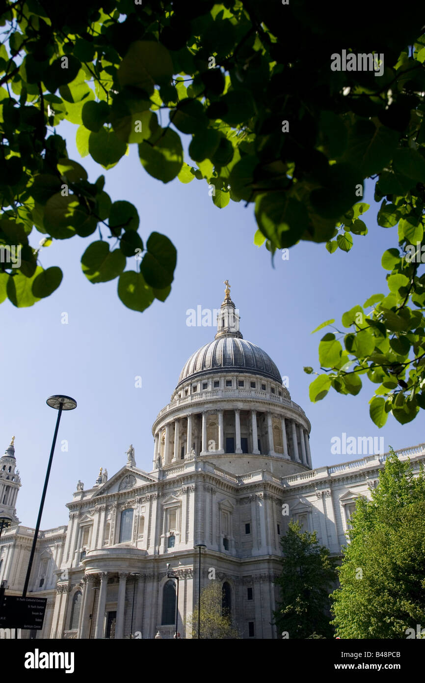 Vue de la Cathédrale St Paul à travers les arbres Banque D'Images