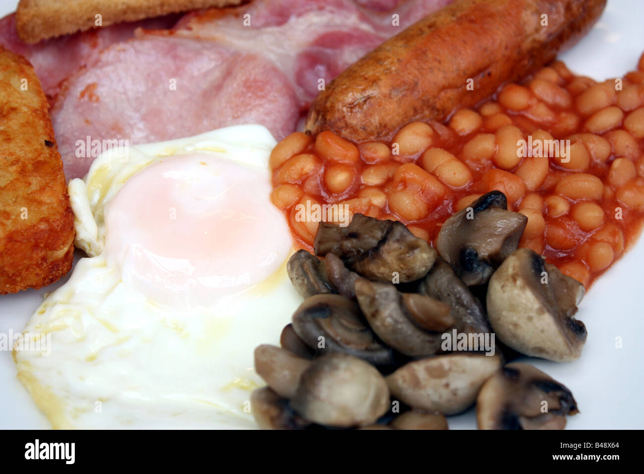 Un anglais complet. Banque D'Images