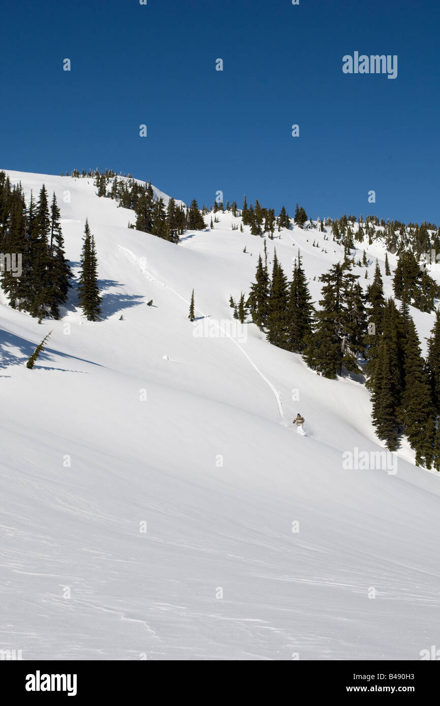 Snowboarder riding en poudreuse profonde à Whistler, BC Banque D'Images