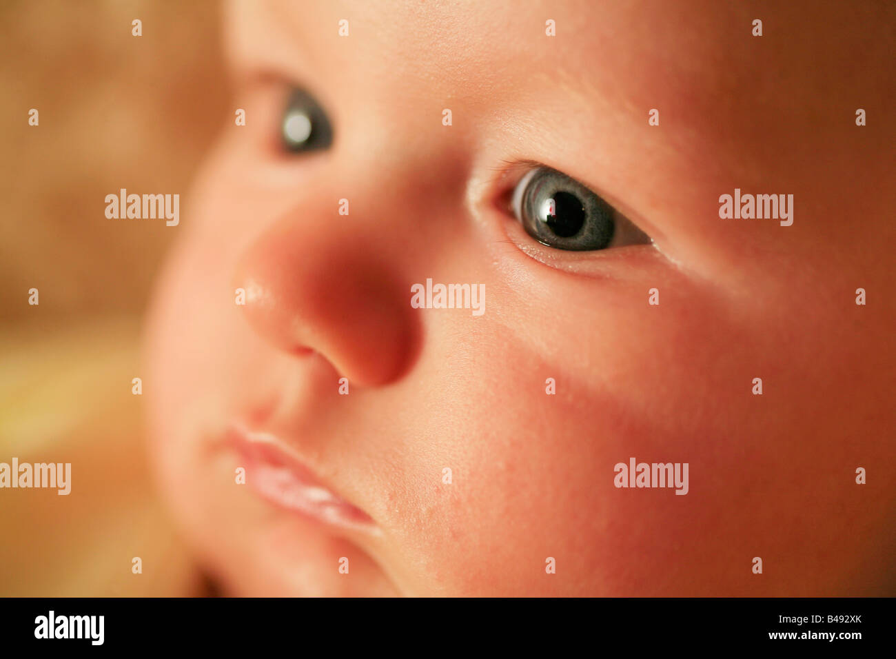 Bébé âgé de 5 mois à partir de l'appareil photo girl looking away Banque D'Images