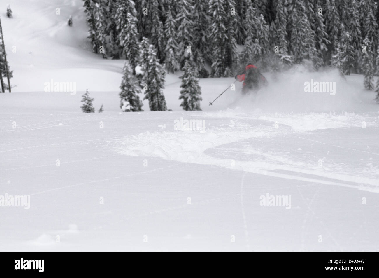 Pistes de ski à gauche par un skieur dans poudre profonde comme il skis vers quelques arbres Banque D'Images