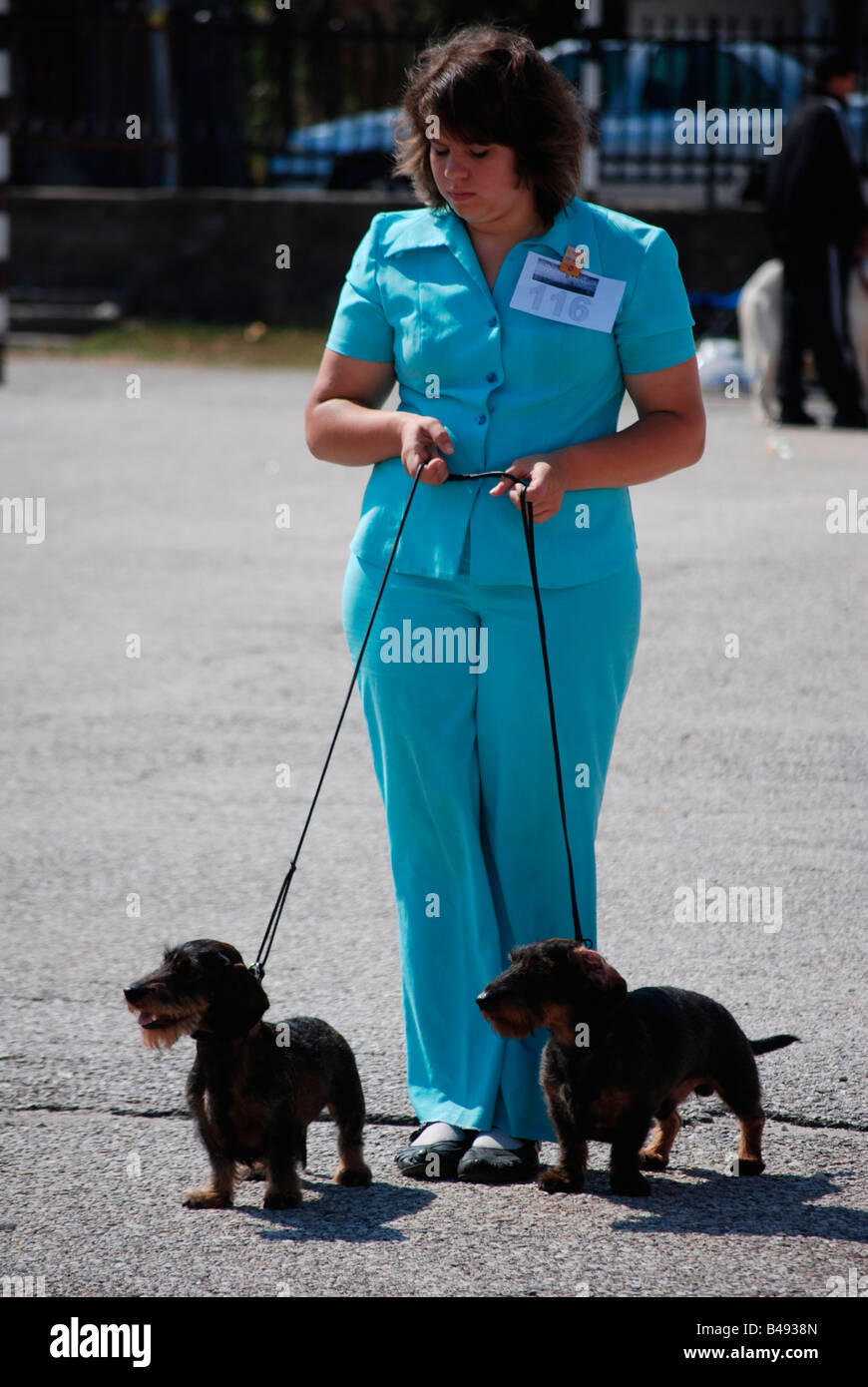 Bulgarie Bansko femme présentant ses deux dackel wirehair chiens au Concours National Dog 30 Août 2008 Banque D'Images