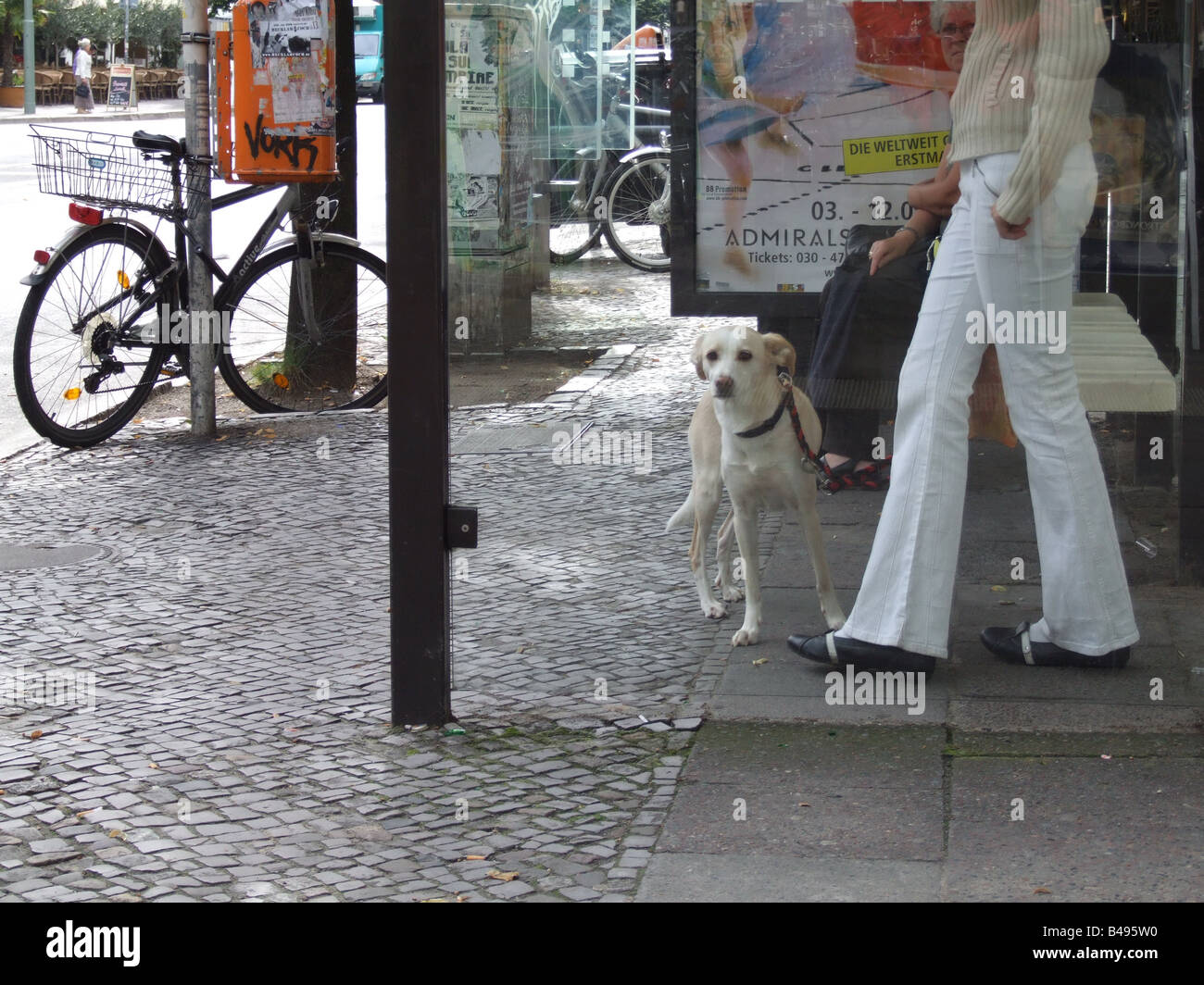 Femme avec chien à l'arrêt de bus à Berlin Banque D'Images