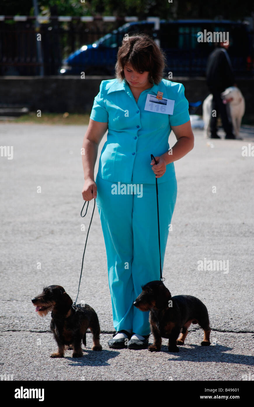 Bulgarie Bansko femme présentant ses deux dackel wirehair chiens au Concours National Dog 30 Août 2008 Banque D'Images