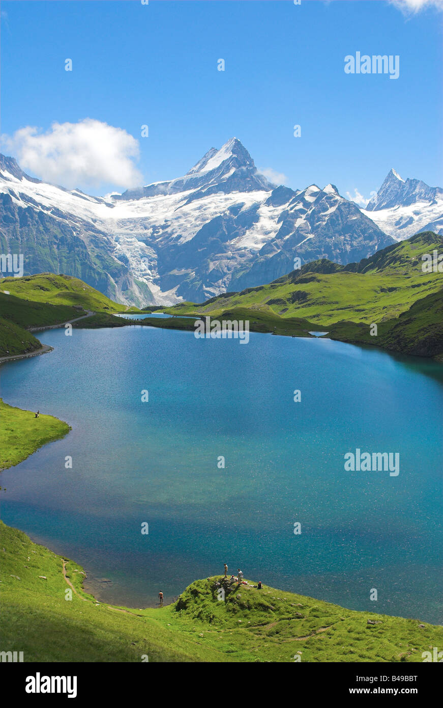 Lake and alpine vista Bachalp Banque D'Images